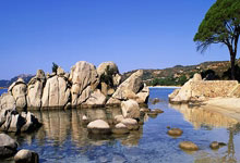 英國愛爾蘭申辦2028歐洲杯!10座球場已確認!曼聯“夢劇場”主動退出惹議!.